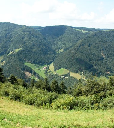 Teichschlucht – Gütenbach – Bühlhof – Bären – (Brend, lange Variante) – Hintereck – Sternenkurve – Wildgutach