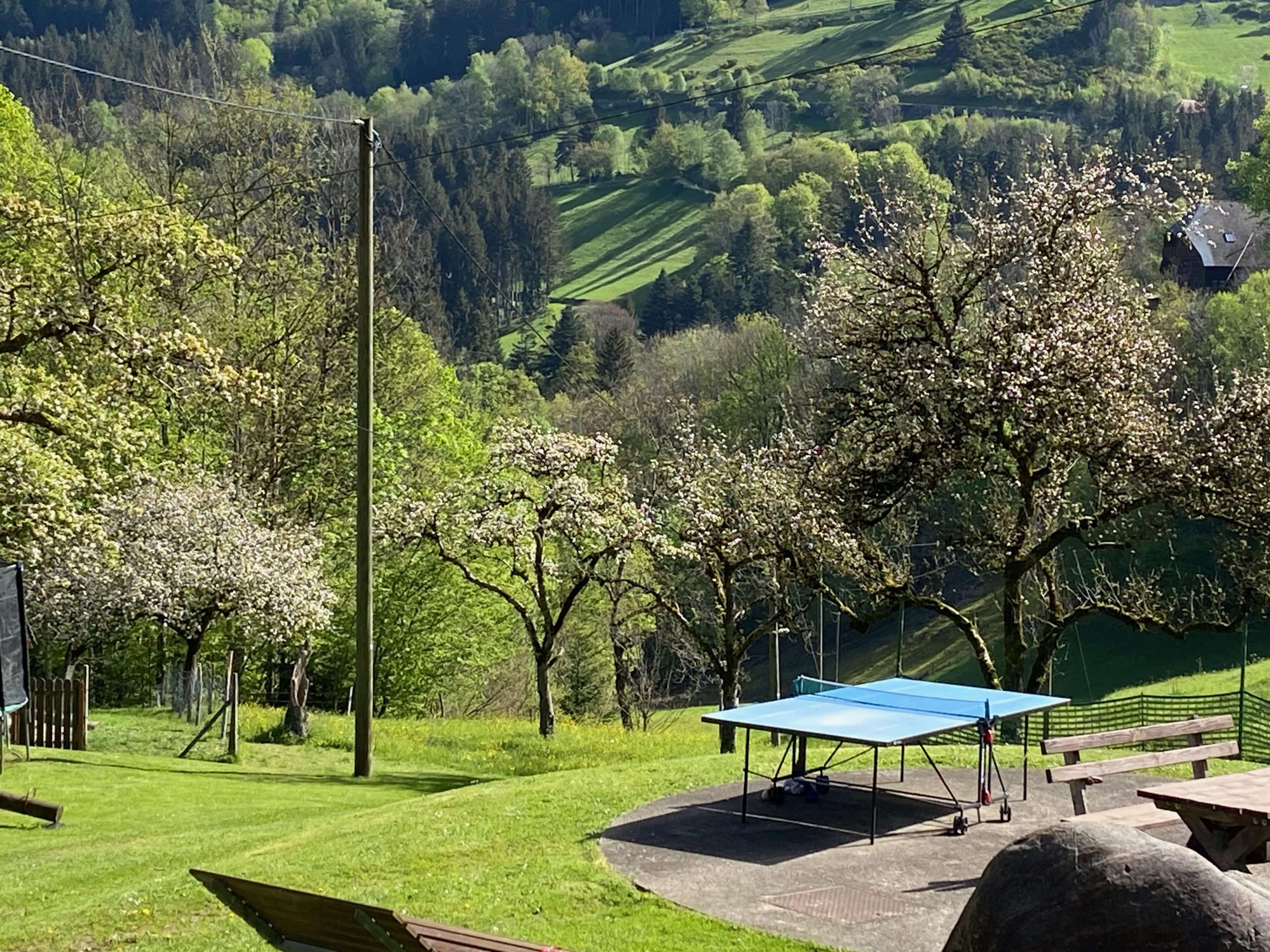 Haldenschwarzhof-Ferienwohnung-Tischtennis – 1